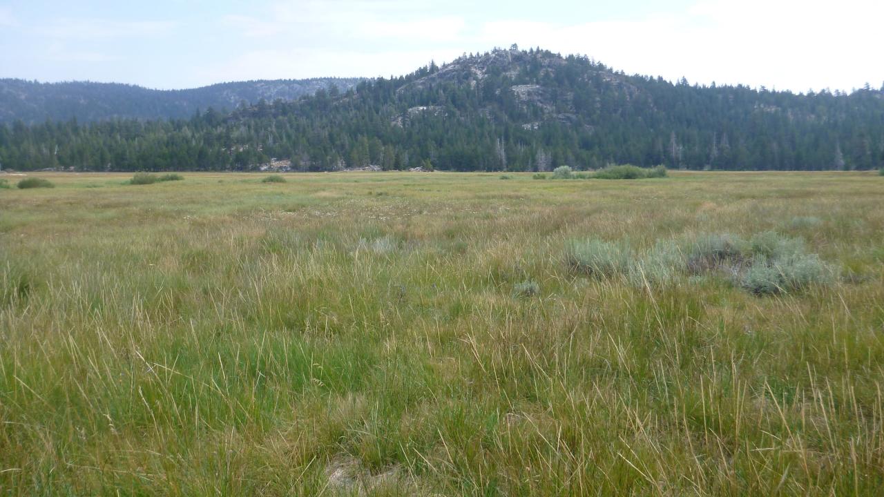 Upper Transect Overview (left to right)