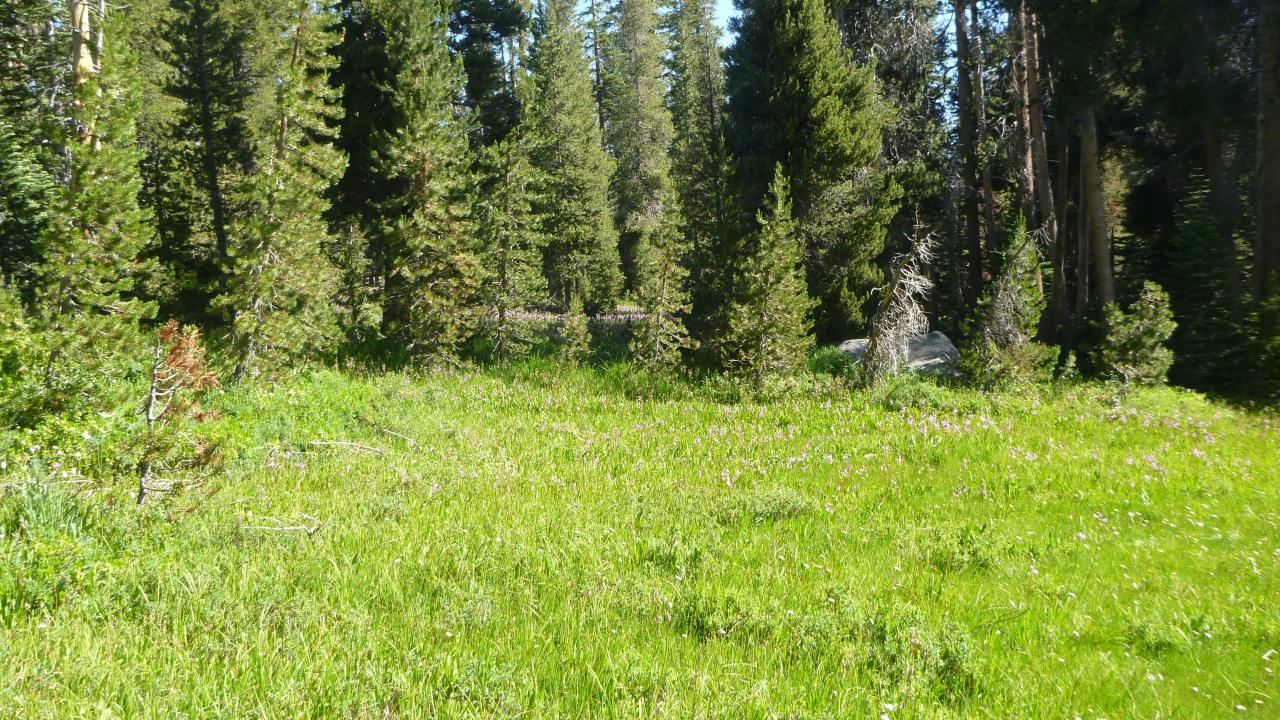 Upper Transect Overview (right to left)