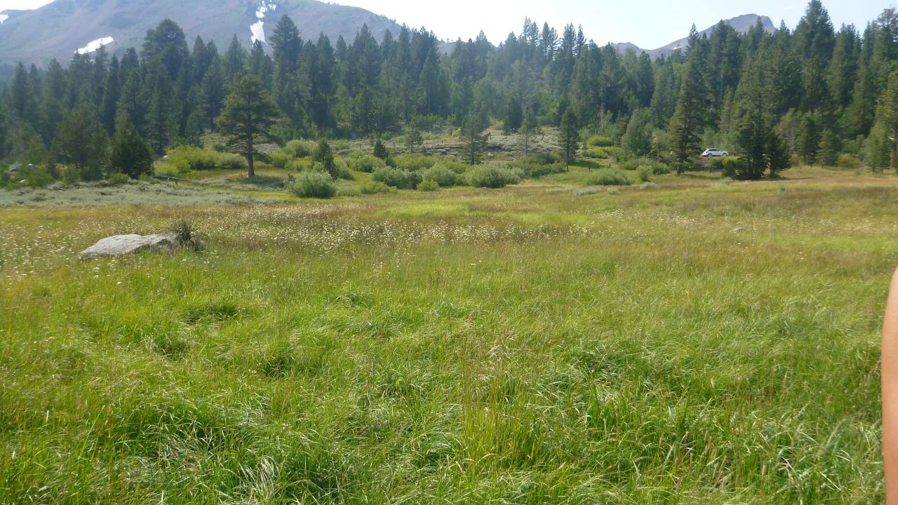Upper Transect Overview (right to left)