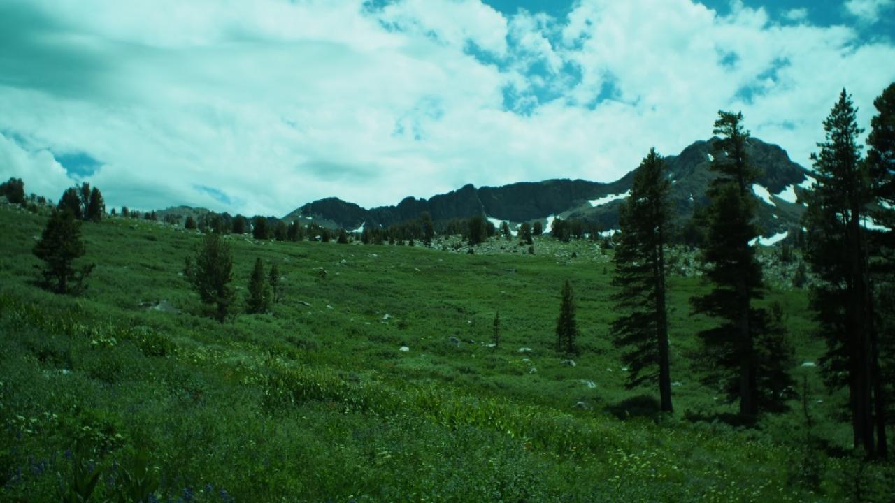 View across polygon