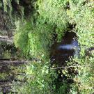 Chimney Flat channel