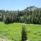 Above top of meadow (upper section) looking down