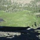 Aerial of meadow from the west