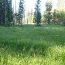Biggest meadow fragment (bottom to top)