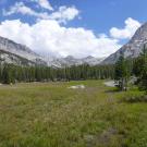 Bottom of Meadow