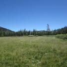 Bottom of Meadow