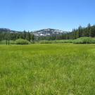 Bottom of meadow looking southwest