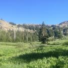 Bottom of meadow