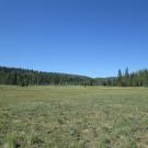 Bottom of meadow
