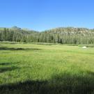 Bottom of meadow