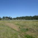 Bottom of the meadow