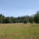 Lake Valley Meadow