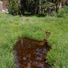 Upper Forni 2 channel