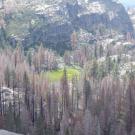 Kirkwood Lake from high vantage point
