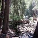 Plum Creek