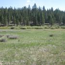End of middle transect looking east