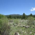 End of middle transect, looking east