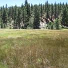 End of middle transect, looking south