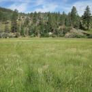 End of middle transect, looking west