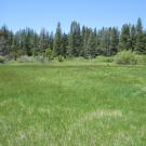 End of middle transect, looking west