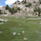 Upper Transect Left to Right