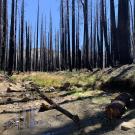 Tragedy Creek Channel