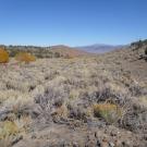Looking downstream from upper end of meadow