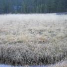 Lower Transect Channel Right to Left