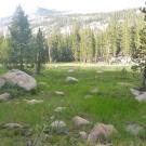 Lower Transect Left to Right Overview