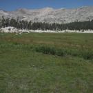 Lower Transect Left to Right Overview
