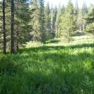 Lower Transect Overview (left to right)