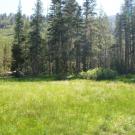 Lower Transect Overview (left to right)