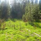 Lower Transect Overview (right to left)