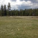 Lower transect, third channel (river left)