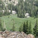 Meadow from above, zoomed in