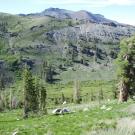 Meadow from above