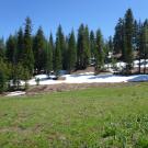 Middle Transect (left to right)