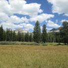 Middle Transect (right to left)