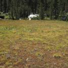 Middle Transect Left to Right Overview