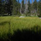 Middle Transect Left to Right Overview