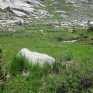 Middle Transect Left to Right Overview