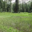 Middle Transect Left to Right Overview