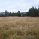Middle Transect Overview (left to right)