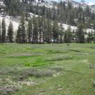 Middle Transect Overview (right to left)