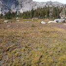 Middle Transect Right to Left Overview