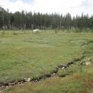 Middle Transect Right to Left Overview