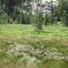 Middle Transect Right to Left Overview