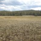 Middle transect (river right)