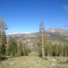 Photo point 2, down