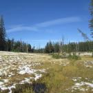 Point 1 Top of Meadow